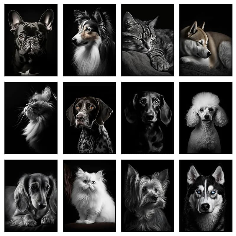 Poster di cani e gatti in bianco e nero Animale domestico Bulldog francese Bassotto Ritratto Stampa su tela Pittura Immagine di arte della parete per la decorazione della stanza di casa