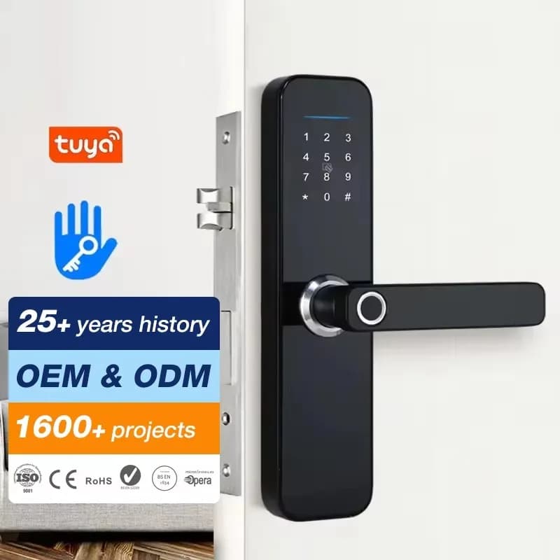 Serratura intelligente per porta dell'appartamento domestico dell'hotel con impronte digitali Wifi con APP Tuya BLE WiFi TTlock Smart Lock digitale WiFi elettrico