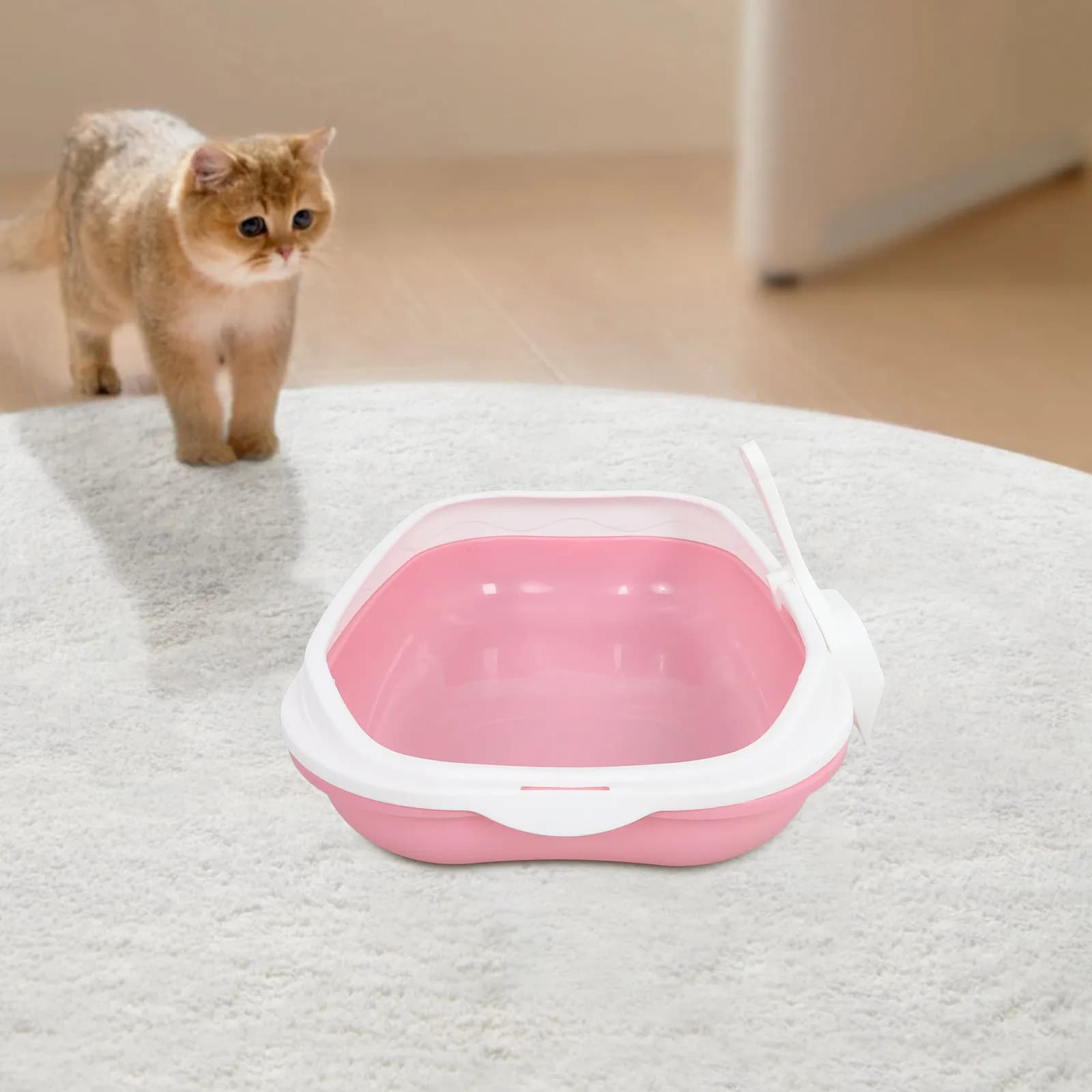 Set di 1 Lettiera Semi-Chiusa per Gatti con Vassoio Aperto, Anti-Schizzi, Rimovibile e Lavabile, Toilette per Gattini, Mini Lettiera per Gatti