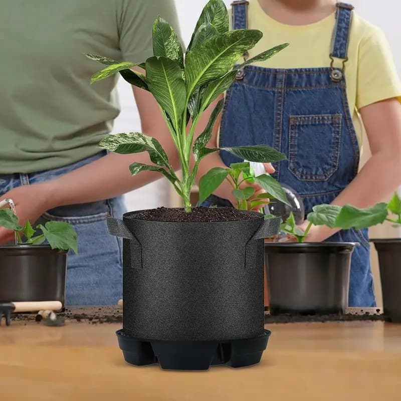 Irrigazione automatica per piante Fioriera automatica assorbente d'acqua per interni Vassoi in tessuto non tessuto per piante succulente in vaso