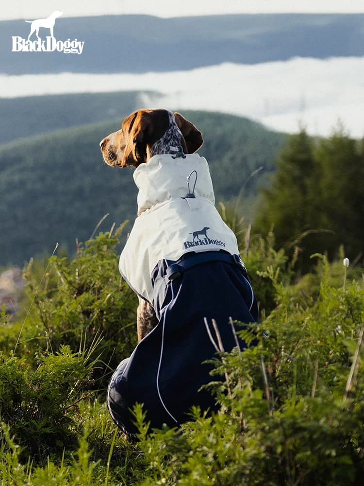 Giacca Invernale per Cani BlackDoggy, Cappotto Antivento per Esterni, Abbigliamento Caldo per Cani, Gilet con Collo Alto per Animali Domestici