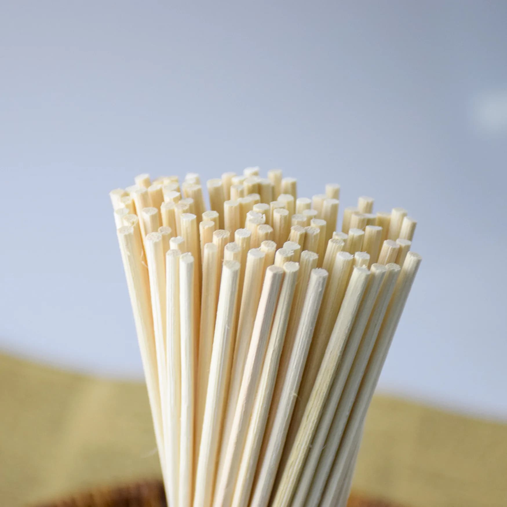 Bastoncini di Rattan Naturale per Diffusore di Aromi, 3MM X 40CM, Deodorante per Ambienti, Bastoncini in Legno per Profumazione