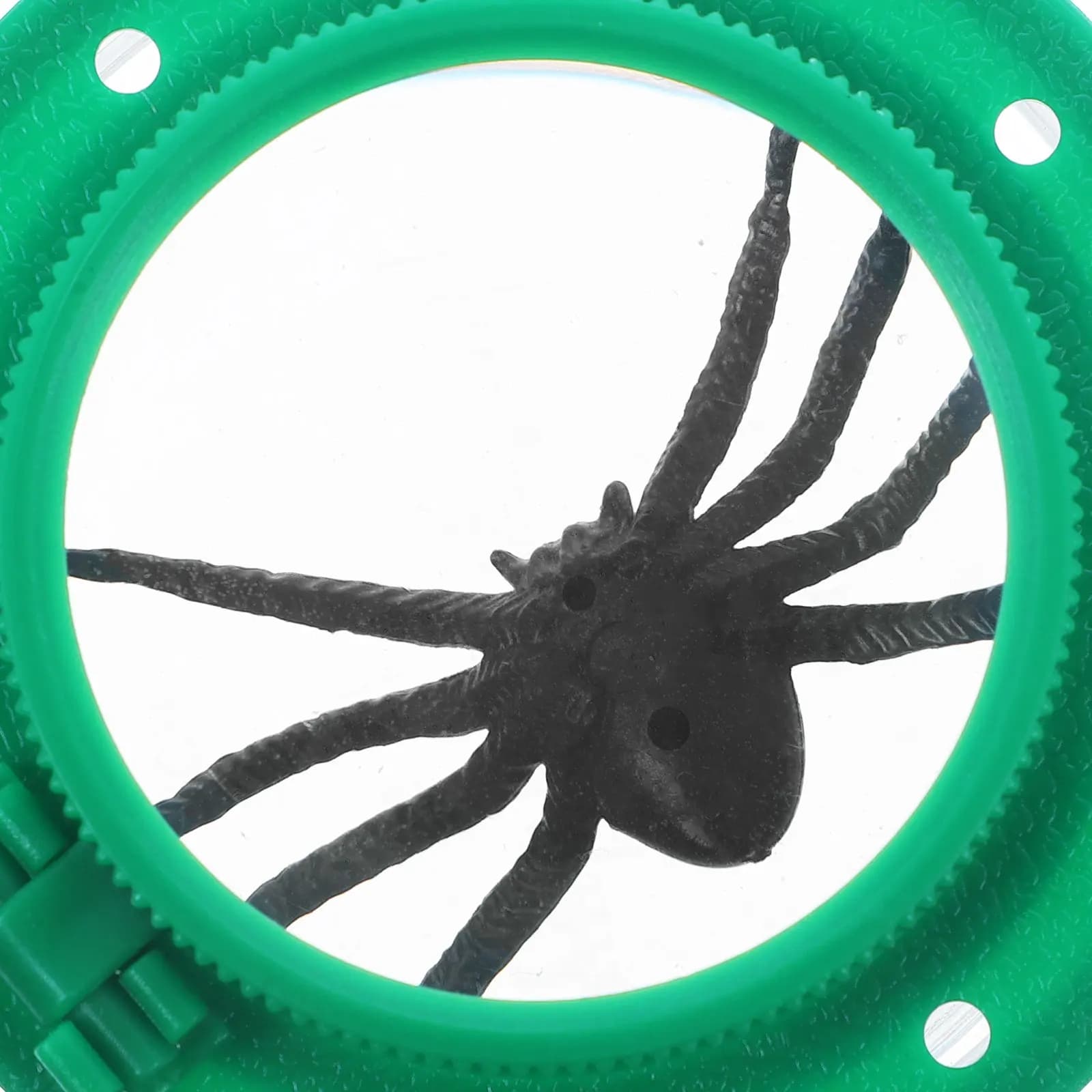 Insect Observation Box Clear Biological Explorer Bug Magnifier Viewing Case Teaching Kit Kids Outdoor Nature for Kids