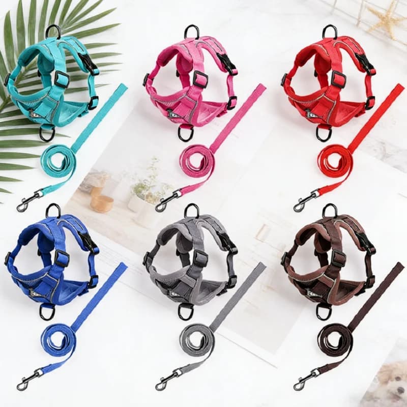 Set Guinzaglio e Pettorina Riflettente per Cani, Gilet Traspirante in Rete per Animali Domestici, Pettorina Regolabile per Cuccioli, Accessori Moda per Cani e Gatti