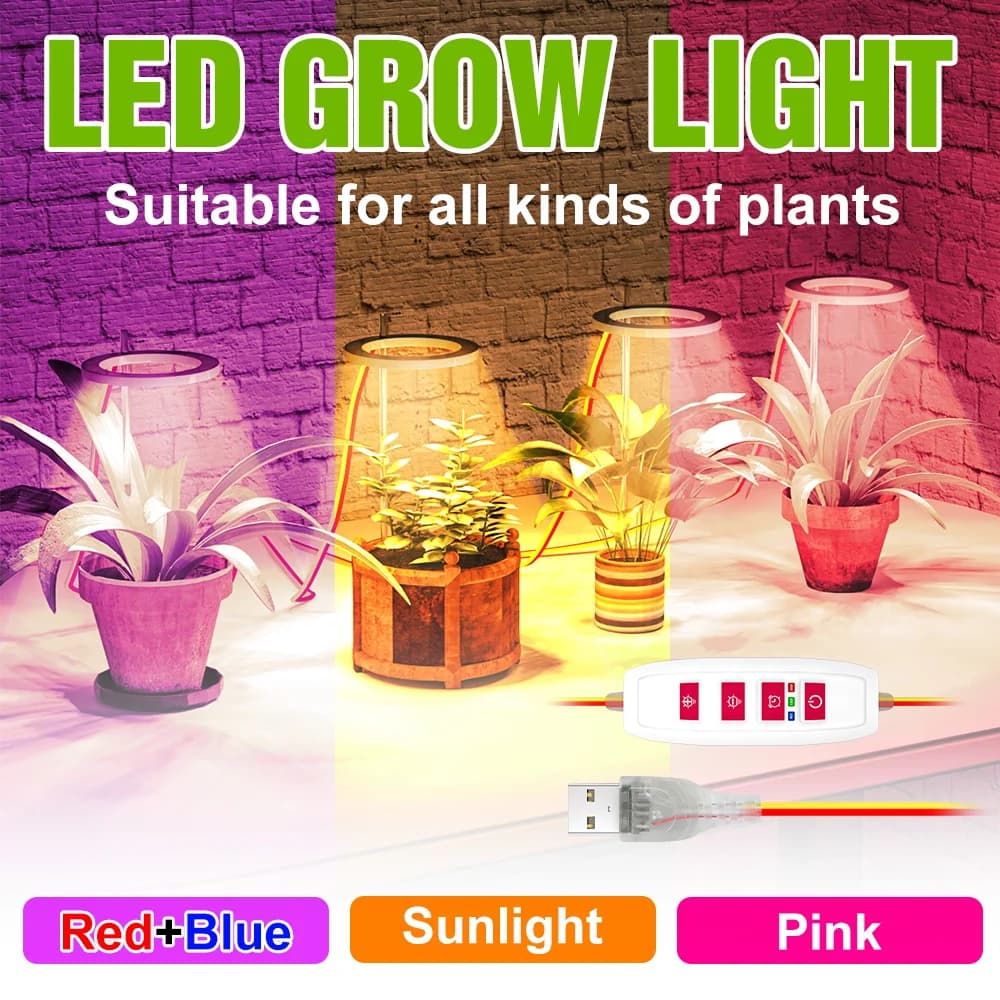 LED Grow Light Full Spectrum Plant Lamp Timing Auto On/Off dimmerabile Indoor Flower Seed coltivazione idroponica vegetale USB DC5V