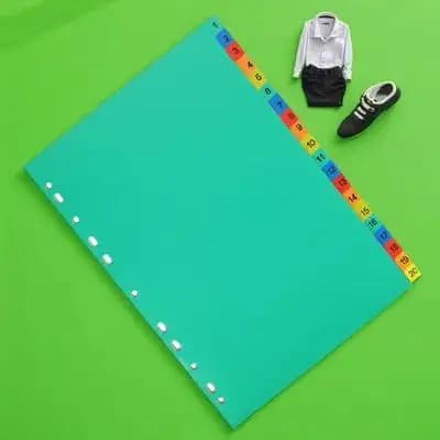 20 divisori per quaderni, divisori per pagine in plastica per raccoglitori con schede indice, perfetti per la classificazione di quaderni, agende e libri
