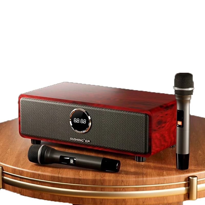 Professional for Bluetooth Karaoke Machine Speaker Home Theater System for Karaoke Players