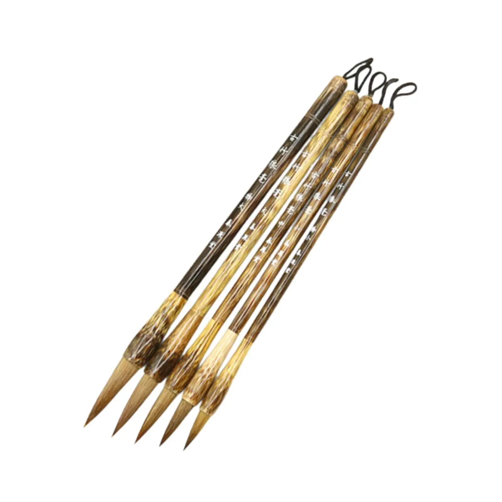 5x Chinese Brushes Set Drawing Art Crafts Professional Practice