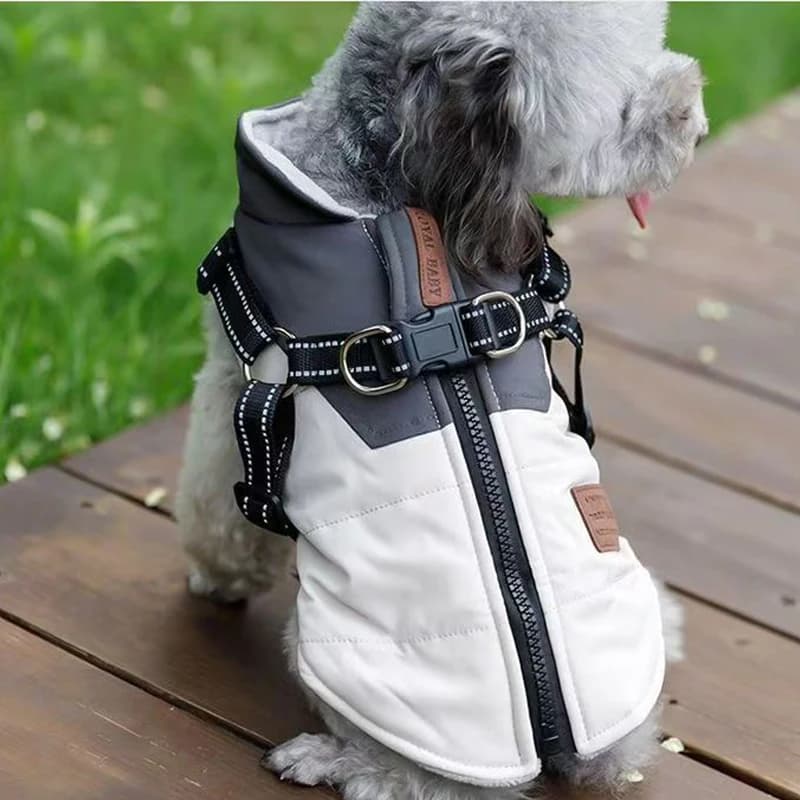 Giacca Invernale Calda per Cani con Imbracatura, Cappotto Antivento per Cani di Piccola e Media Taglia, Chihuahua, Bulldog Francese, Abbigliamento per Cani da Esterno