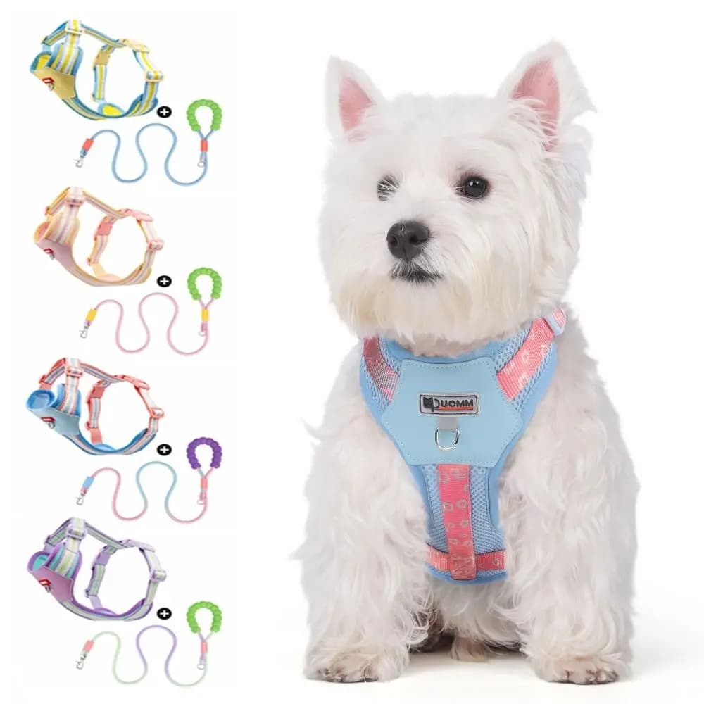 Set di pettorina e guinzaglio regolabili per cani imbottiti con corda di trazione Imbracatura per giacca per gatti Cinghia riflettente Maglia morbida