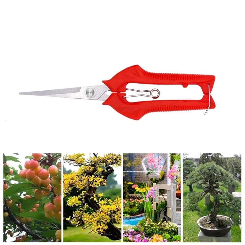 Forbici da Potatura per Giardino, Cesoie per Raccolta Frutta, Attrezzo per Bonsai, Forbici per Foglie, Forbici da Fiorista a Lama Dritta, Quattro Misure