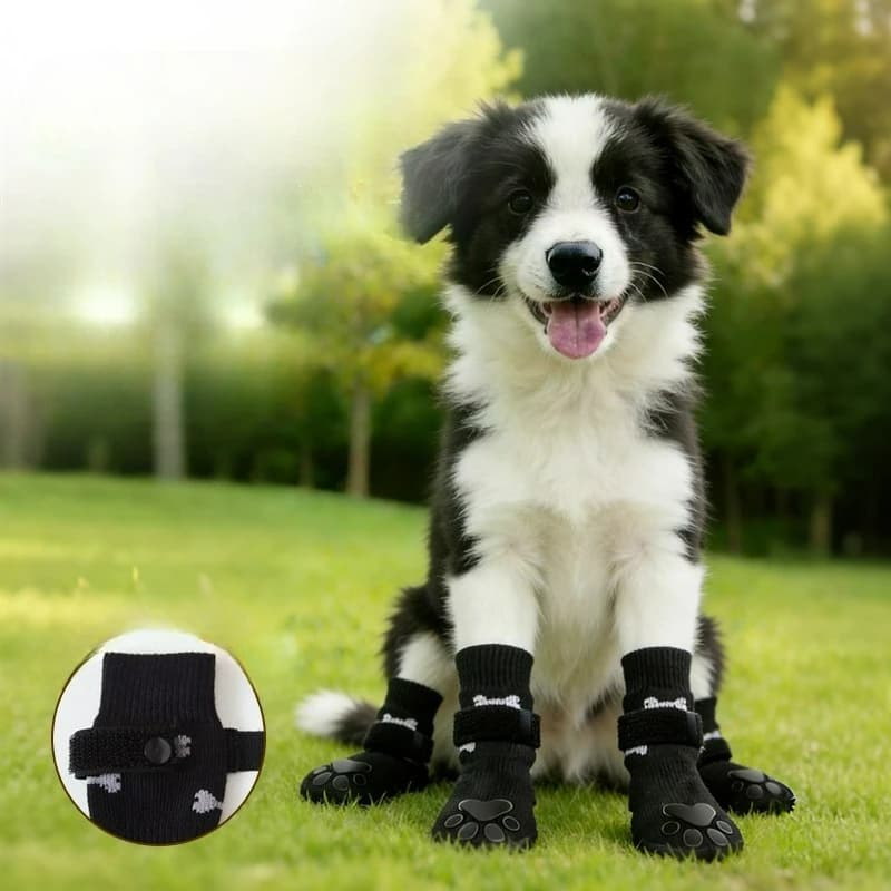 Set di 4 Calzini per Cani con Adesivi Biadesivi, Resistenti all'Usura e Antimacchia, Accessorio per Passeggiate all'Aperto con Velcro