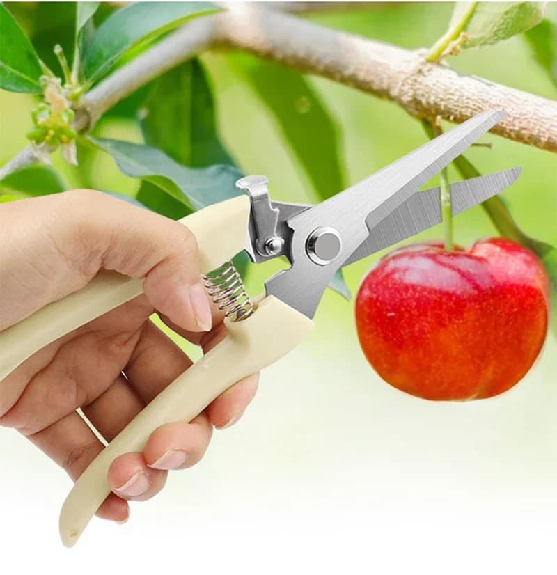 Cesoie da giardino, cesoie da potatura, cesoie da fiori, forbici da giardino, cesoie per fiori, cesoie per rami, cesoie per alberi da frutto, forbici da potatura