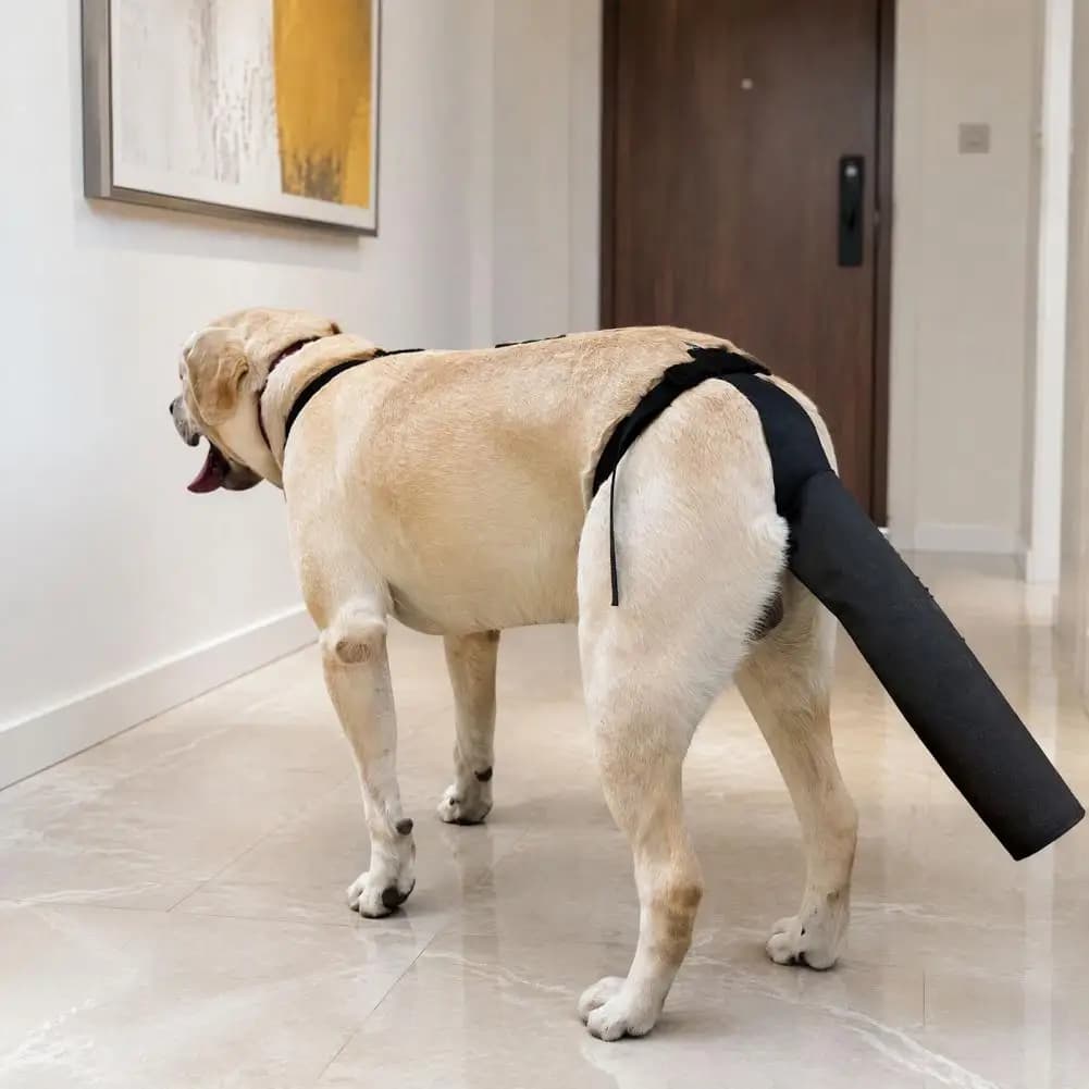 Dog Tail Protector for Wound Care Protective Wrap for Dog Tail Dog Tail Protector Wrap Adjustable Breathable Pet Harness