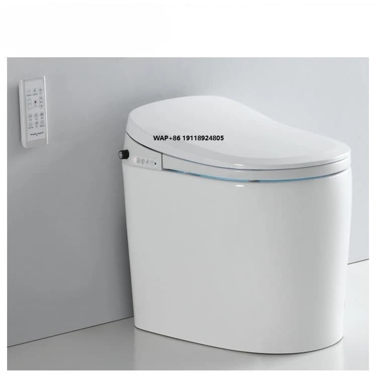 Bidet Electric Intelligent U-shaped with Water Instant Heating and Urea Function