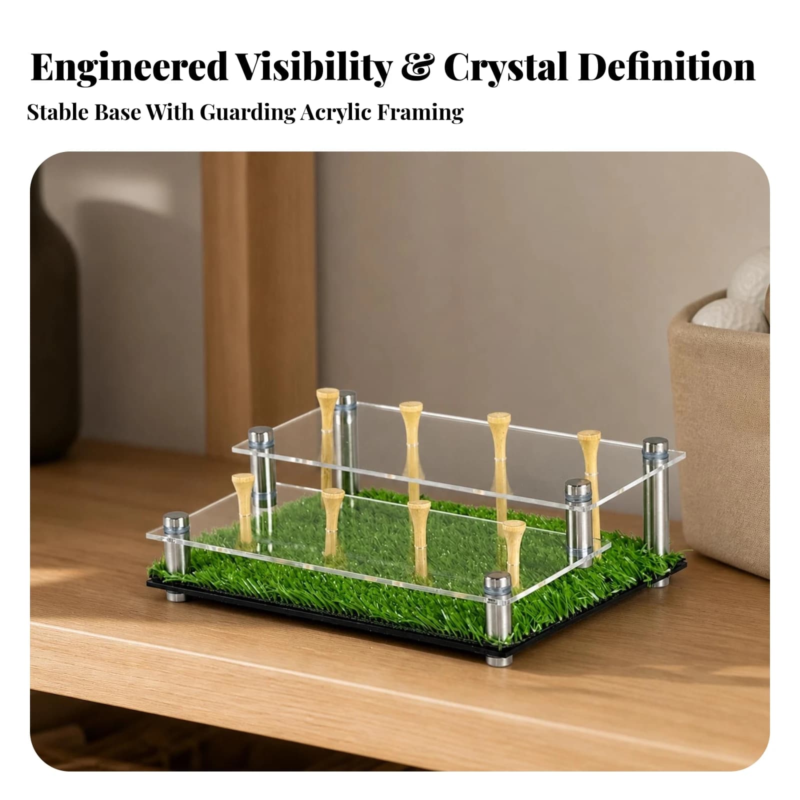 Display Holder Sturdy Golf Ball Holder with Tee Supports for Golfers, Office