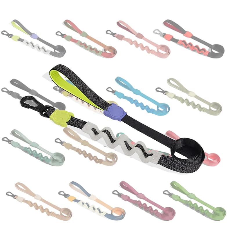 Guinzaglio per cani con buffer ammortizzante per addestramento al guinzaglio per animali domestici in nylon durevole all'ingrosso personalizzato del produttore