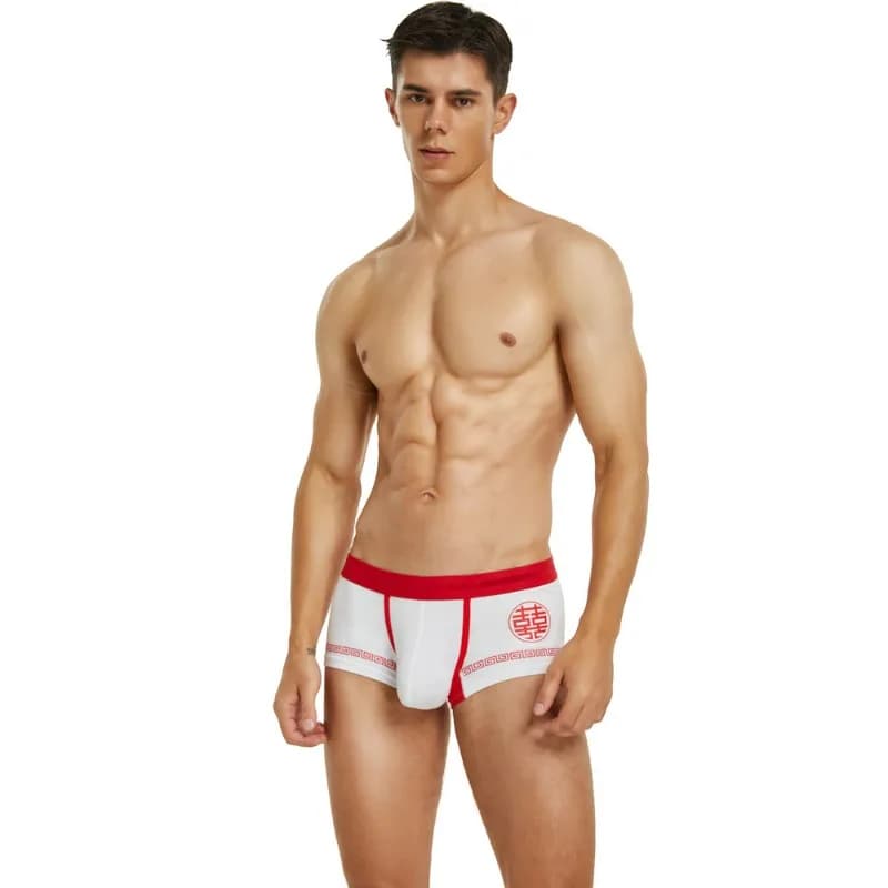 Intimo da uomo in tinta unita, nuovo grande intimo da uomo rosso, pantaloni stampati con carattere Anno del Coniglio 230202