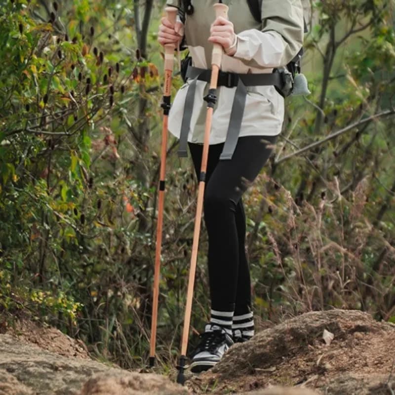 Trekking poles in Aluminium Alloy Strengthened: Lightweight and Portals, Folding, Telescopic and Multipurpose for Mountaineering and Hiking