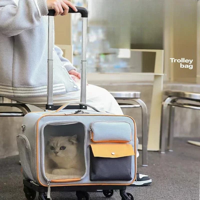 Borsa Trasporto Gatti, Trolley per Animali Domestici, Borsa da Viaggio per Cani Piccoli, Zaino Portatile per Gatti, Borsa a Spalla/Trasportabile/a Tracolla, Staccabile