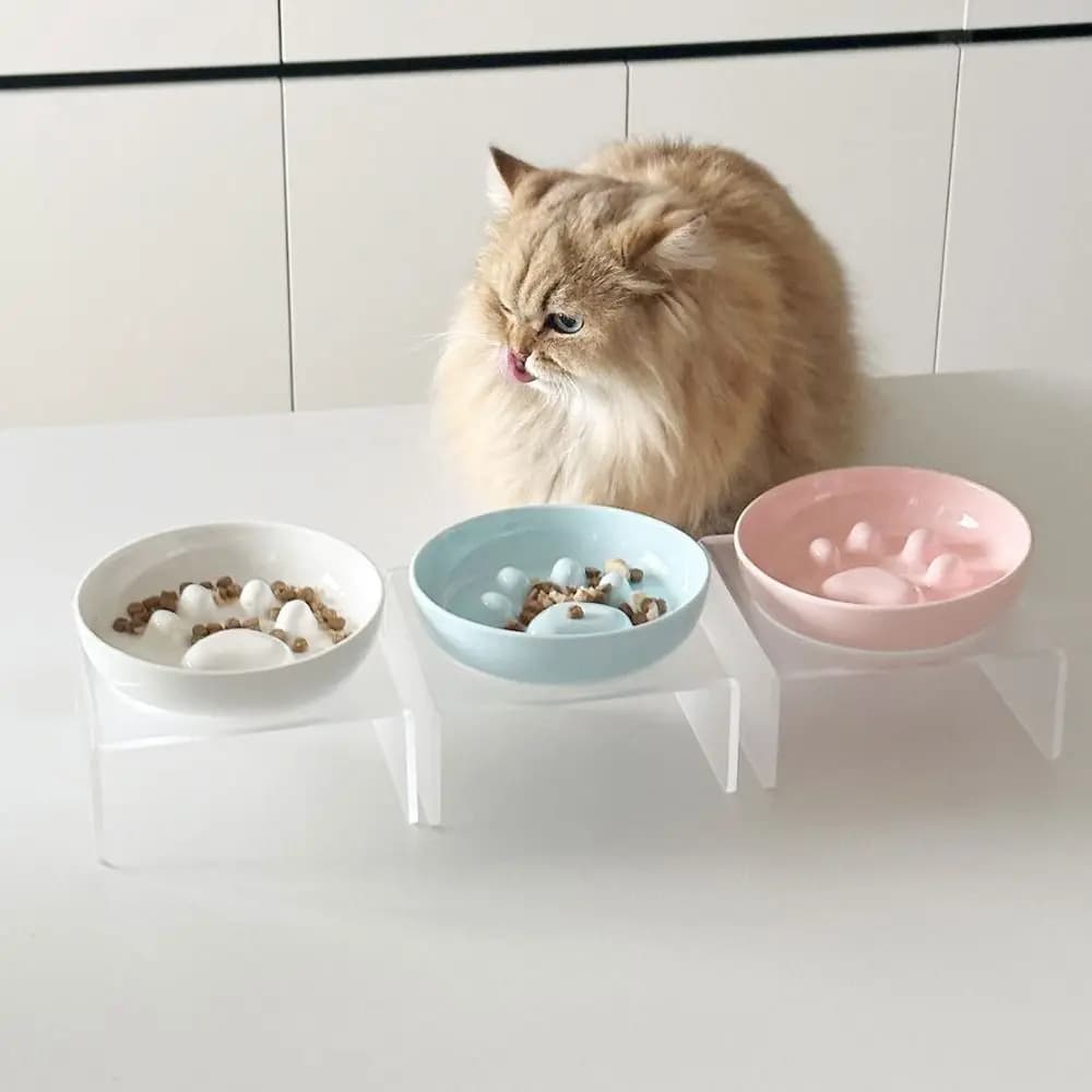 Ciotola in Ceramica per Cibo e Acqua per Gatti, Antiscivolo e Antiribaltamento, con Supporto in Acrilico, Contenitore per Acqua per Animali Domestici, Accessori per Cani