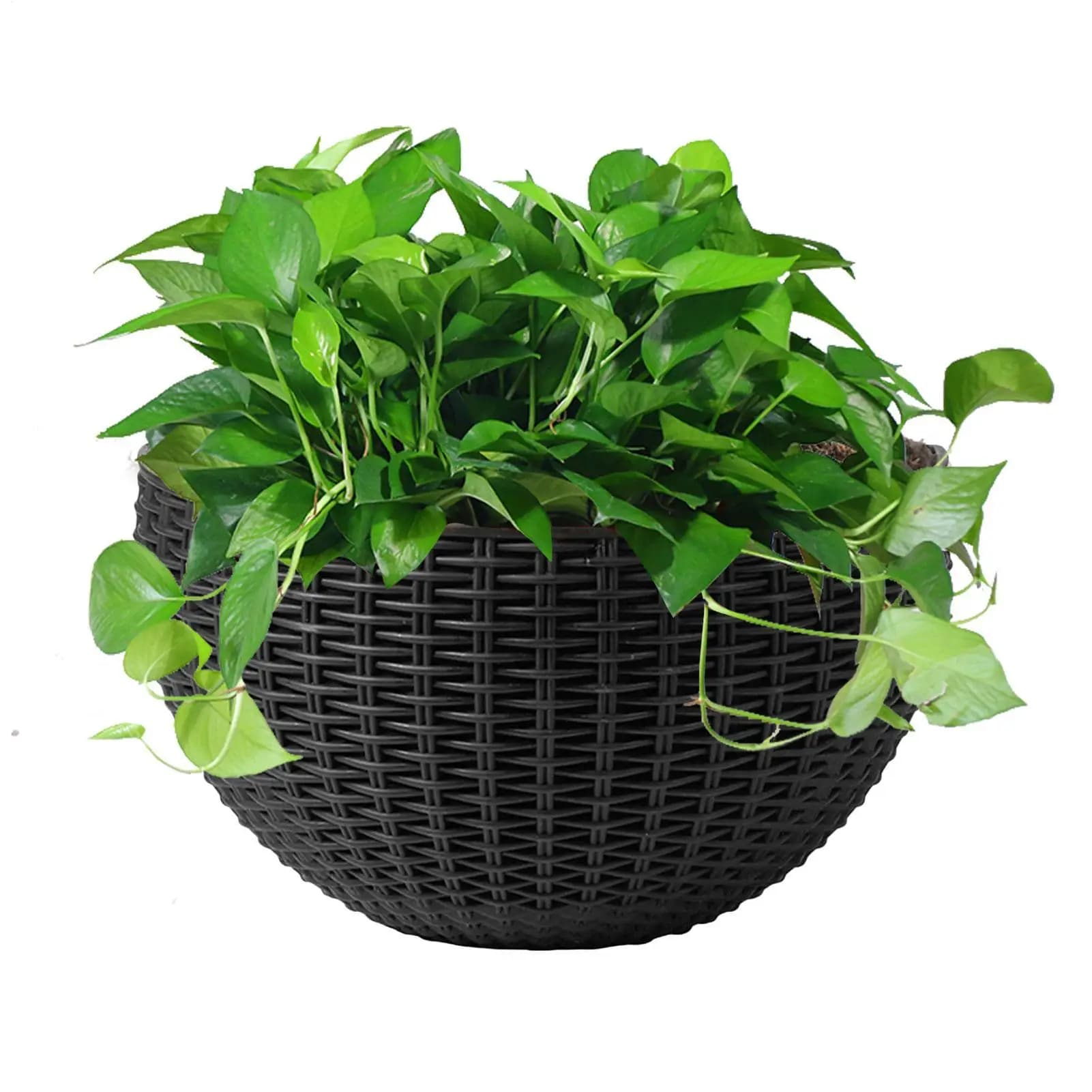 Exquisite hand wall plastic basket, interior and exterior holders, flower pot, plant container, home decoration and living room