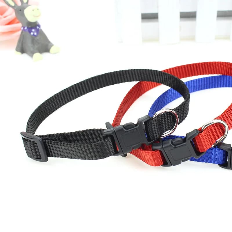 Collare per imbracatura in nylon per cani e gatti a prova di fuga per esterni Nuovo collare regolabile per cuccioli e gattini Collare con cinturino in nylon portatile morbido per animali domestici