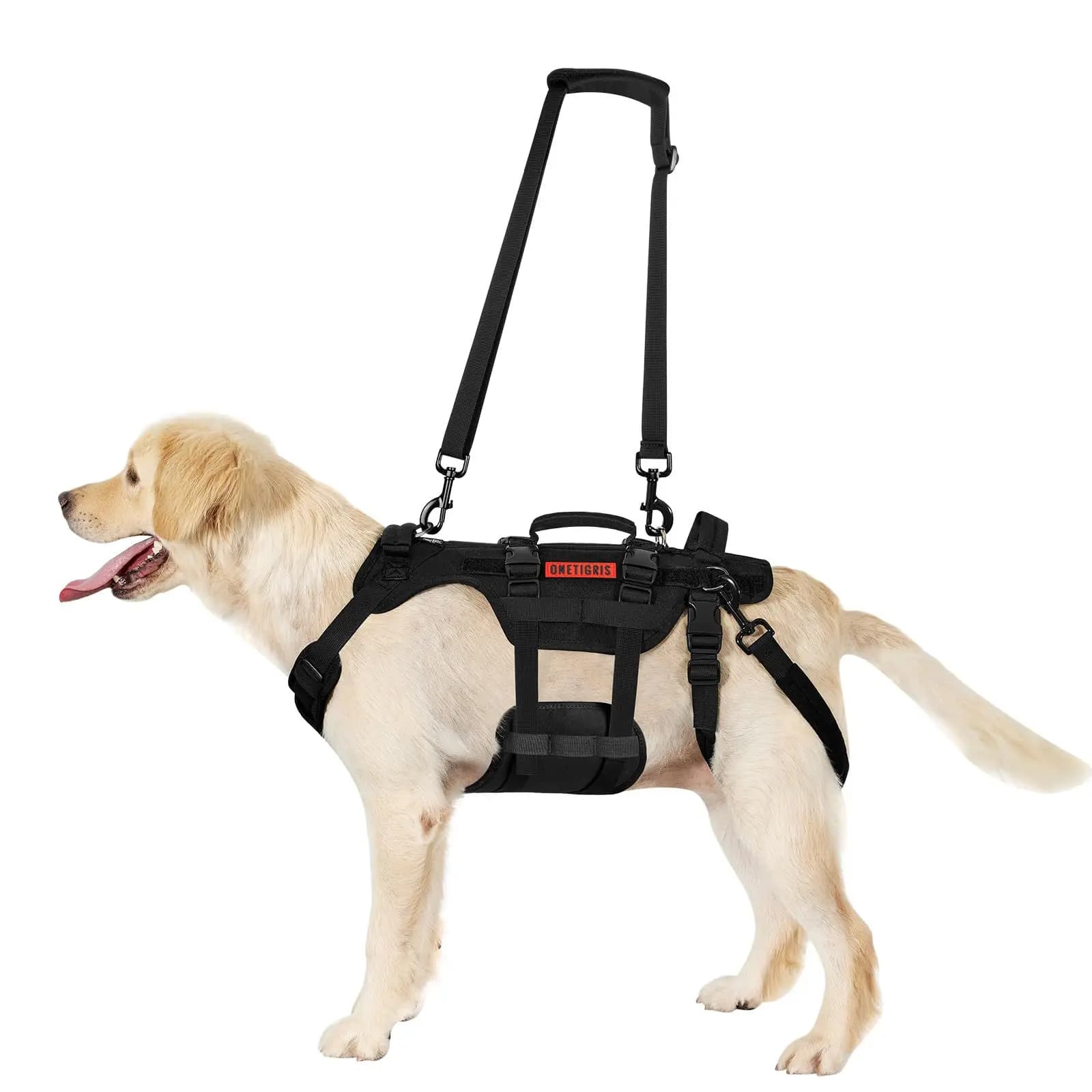 1PCS Outdoor Dog Vest Dogs Harness Tactical Train Coat Medium Large Dogs Vests Chest Strap Bungee Leash Lead Training Running