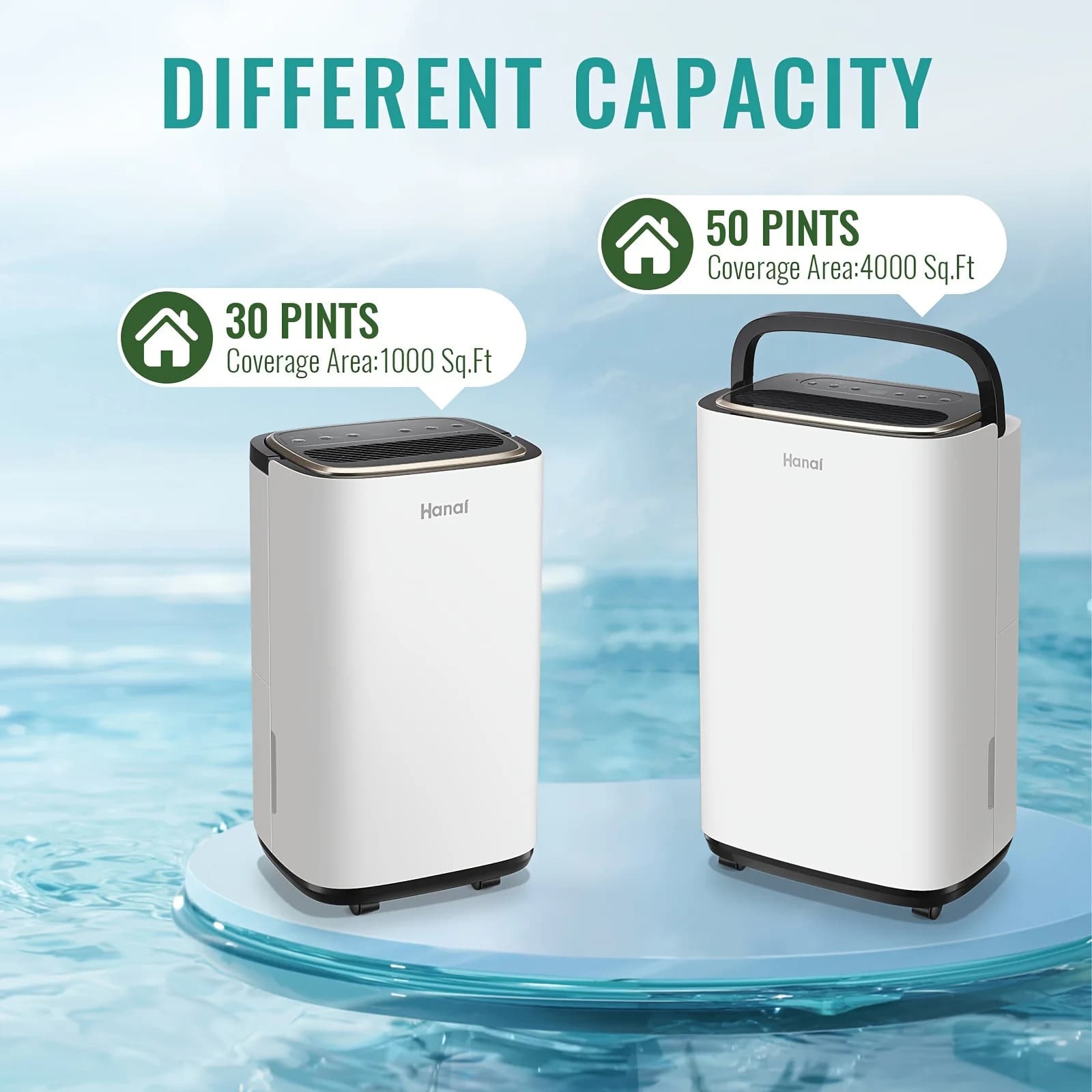 Dehumidifiers with a Capacity of 30 to 50 Pints, Suitable for Areas Ranging from 2500 to 4500 Square Feet, Designed for Basements And Equipped with a Drain Hose And a 24-Hour Timer, Brand New
