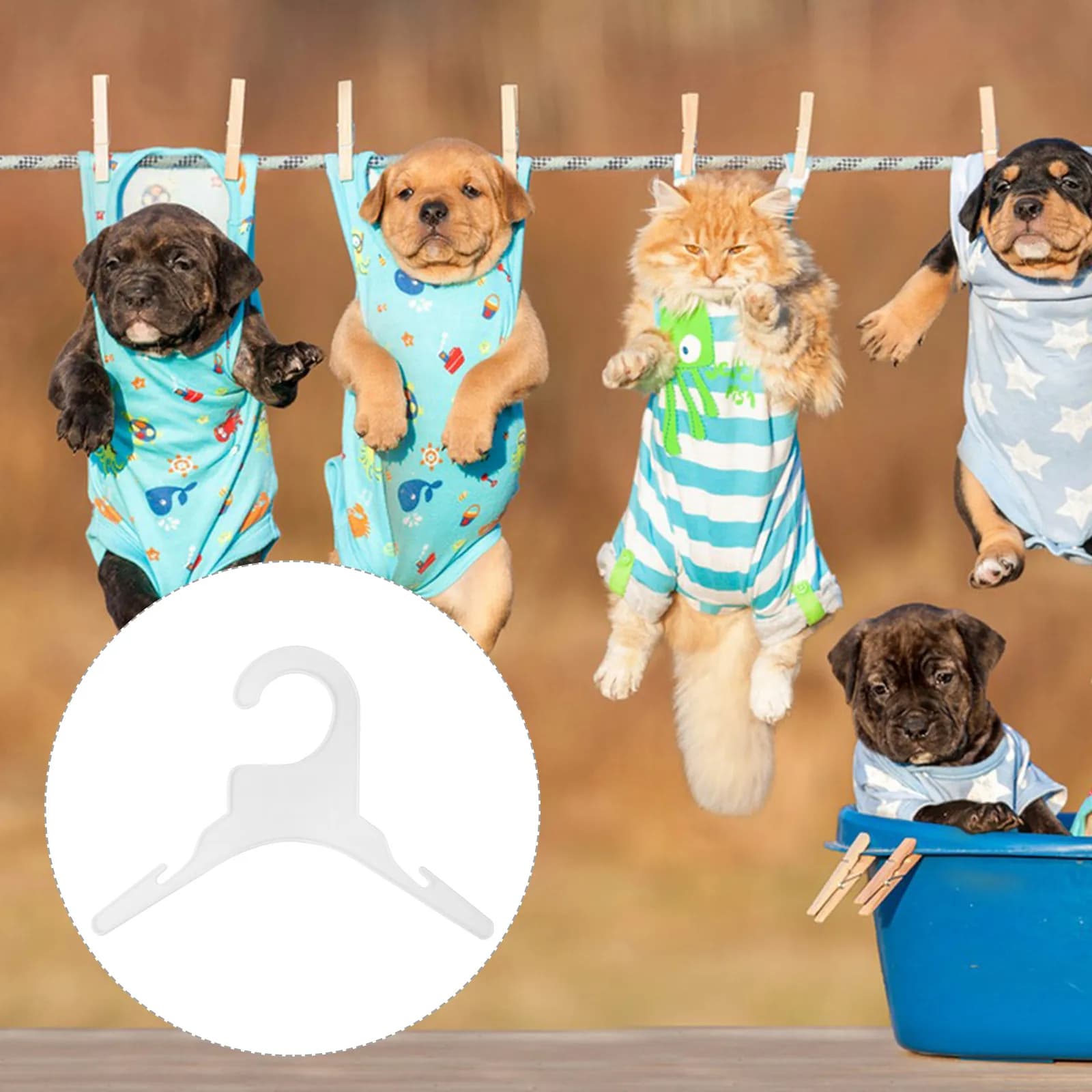10Pcs Pet Clothing Hanger for Dogs Cats ABS Material Strong Wear Resistant Non Deforming Shoulder Support Small Pet Clothes