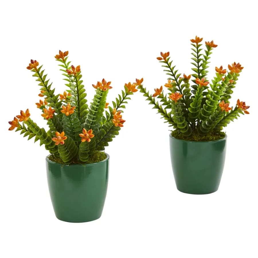 Sedum Succulent Artificial Plant in Green Planter Set of 2