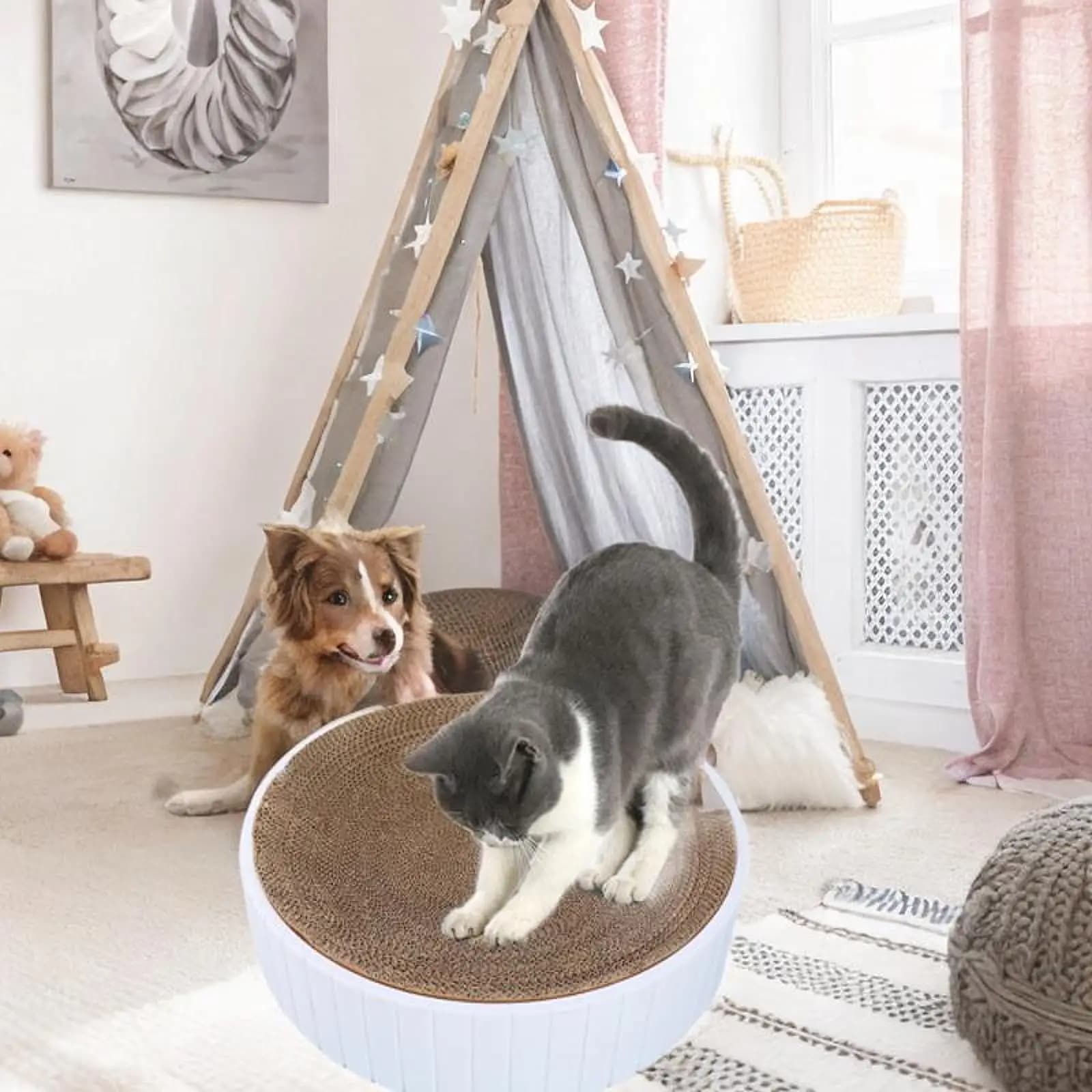Cats Scratcher Bowl Training Toy Furniture Protection Cat Scratching Board Scratching Pad for Kitten Small Medium Large Cats