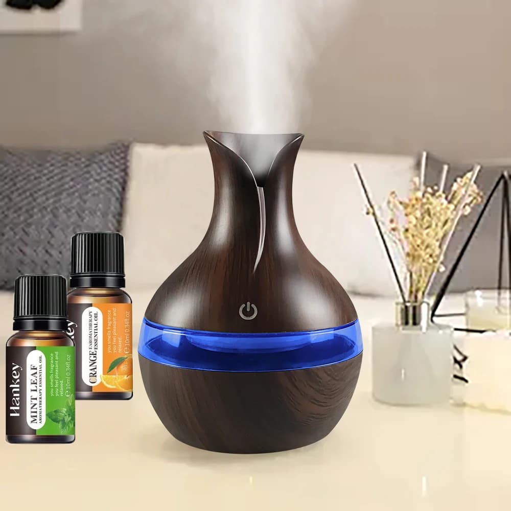 Diffusore per la casa Umidificatore per aromaterapia da 300 ml Diffusore di olio 2 in 1 Design USB Ultra silenzioso Perfetto per l'ufficio della camera da letto (2 oli