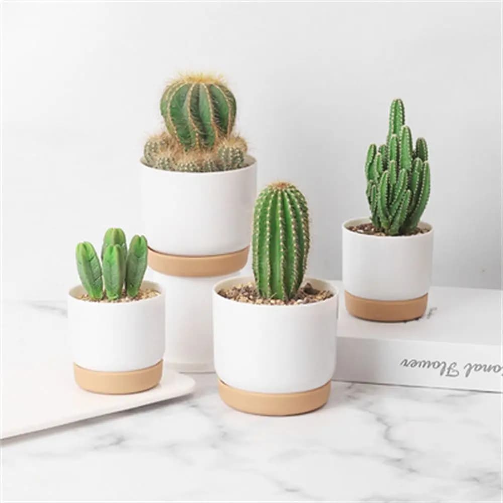 Round Cactus Succulent Plants Garden Supply Self Watering Flower Pot With Drainage Hole Flower Containers Indoor Orchid Pots