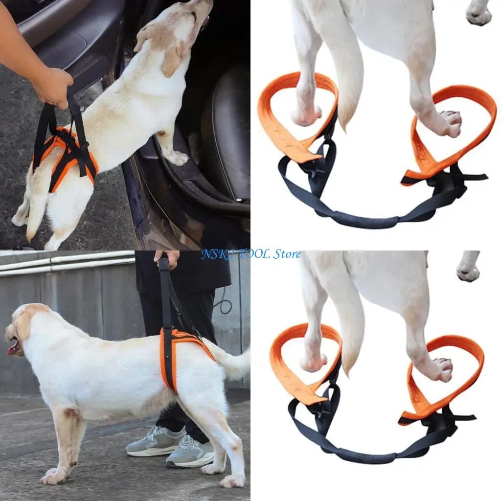 L8RC Cintura ausiliaria con staffa per imbracatura per cani regolabile portatile per chirurgia della gamba posteriore animali