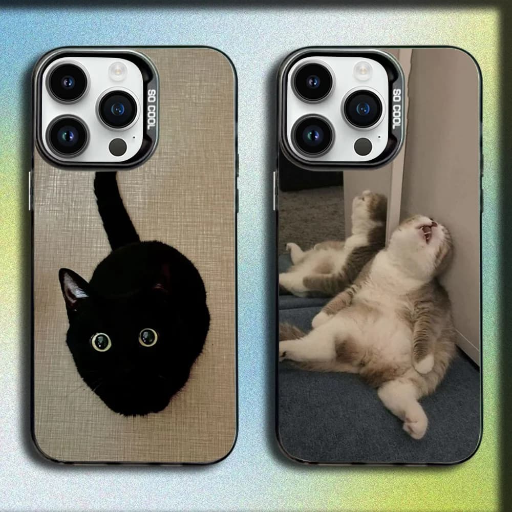 Cute Funny Cat Memes Phone Case For iPhone 16,15,14,13,12,11,Mini,Pro,SE,MAX Gray Matte Silicone Black Cover