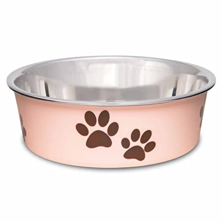Ciotole per Cani Bella - Ciotole in Acciaio Inox per Cani e Gatti - Ciotola Antirovesciamento per Cibo, Accessori per Cuccioli e Forniture per Animali Domestici