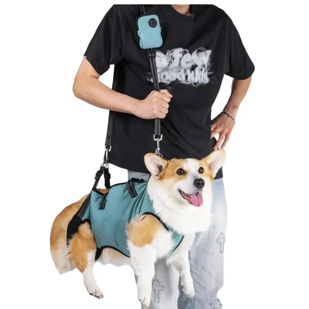 Imbracatura per sollevamento cani, cinghia di assistenza per cani, supporto regolabile per animali domestici e riabilitazione, per lesioni articolari, cani disabili