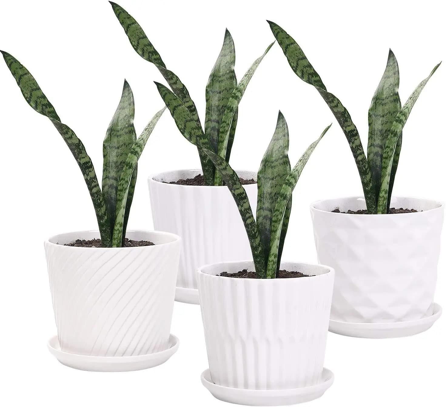 Vasi per Piante - Set di 4 Vasi Cilindrici in Ceramica da 5,5 Pollici con Sottovaso Connesso, per Piante Succulente e Piccoli Serpentine, Colore Bianco