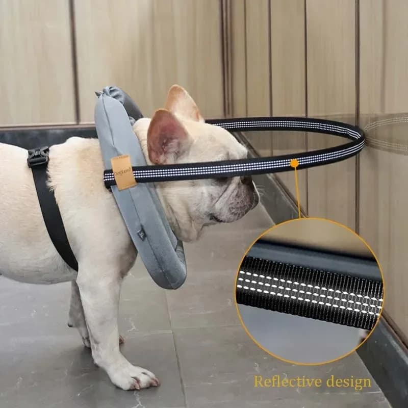 Adjustable Blind Dog Collar Pet Safety Harness Reflective Guiding Device Collar Anti Collision for Blind Dog and Cats Protection