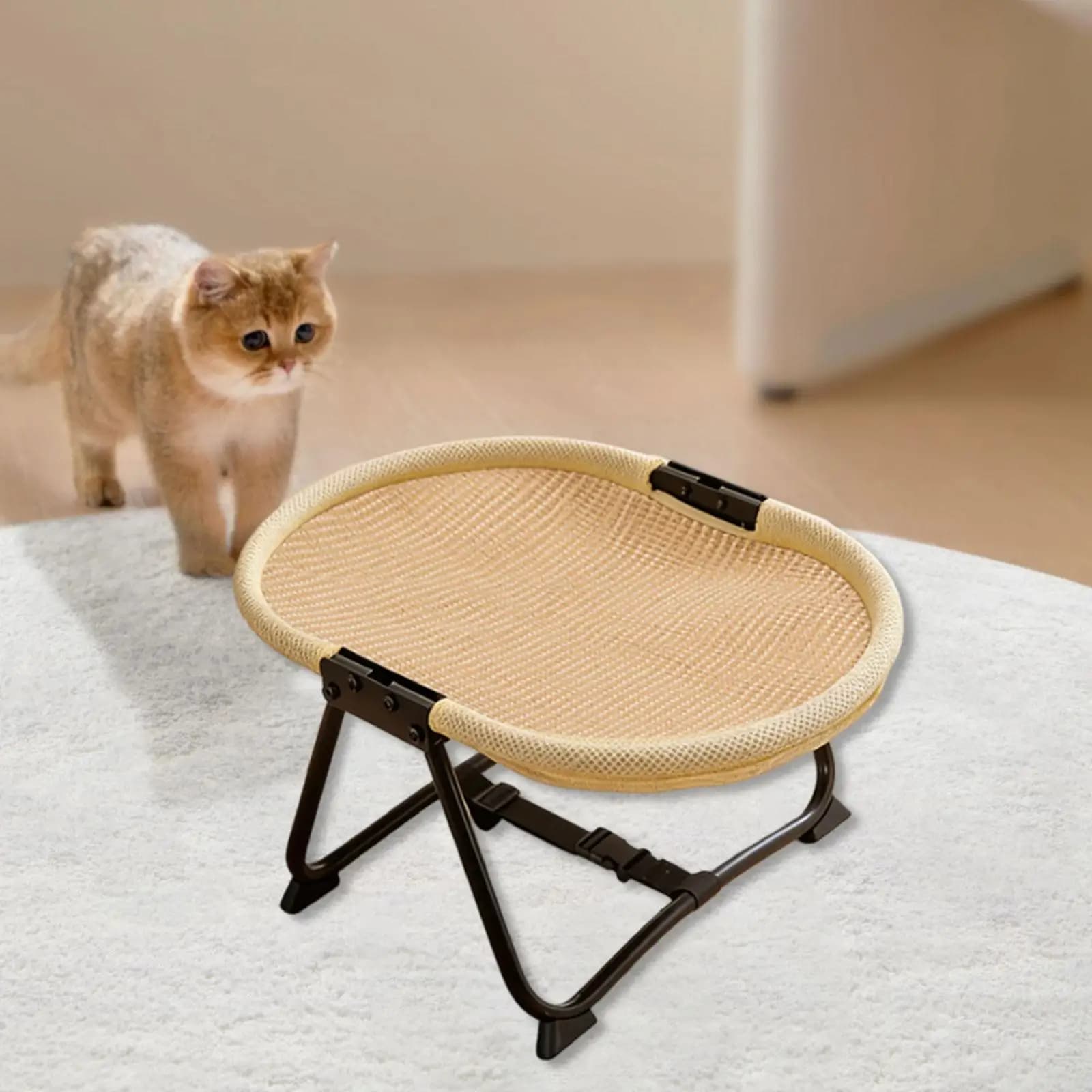 Letto Rialzato per Animali Domestici con Telaio in Metallo, Pieghevole, Multifunzionale, da Interno, Regalo Confortevole con Borsa Portaoggetti, Accessorio Portatile e Robusto