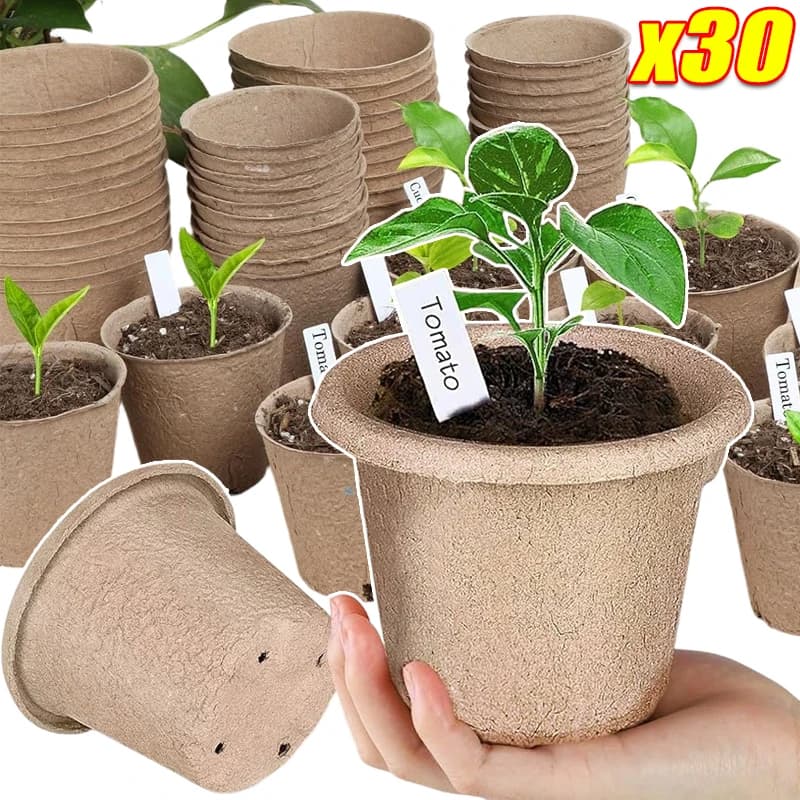 Biodegradable Vases for Vivary, Containers in Polpa for Semina and Propagation of Plants with Draining Holes, Gardening Tool
