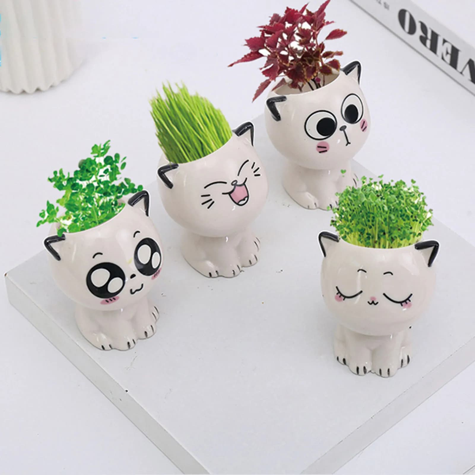 Cat Shaped Ceramic Flowerpot Cactus Flower Pots Desk Decorate Small Ornament Ideal Gift for Christmas Birthdays