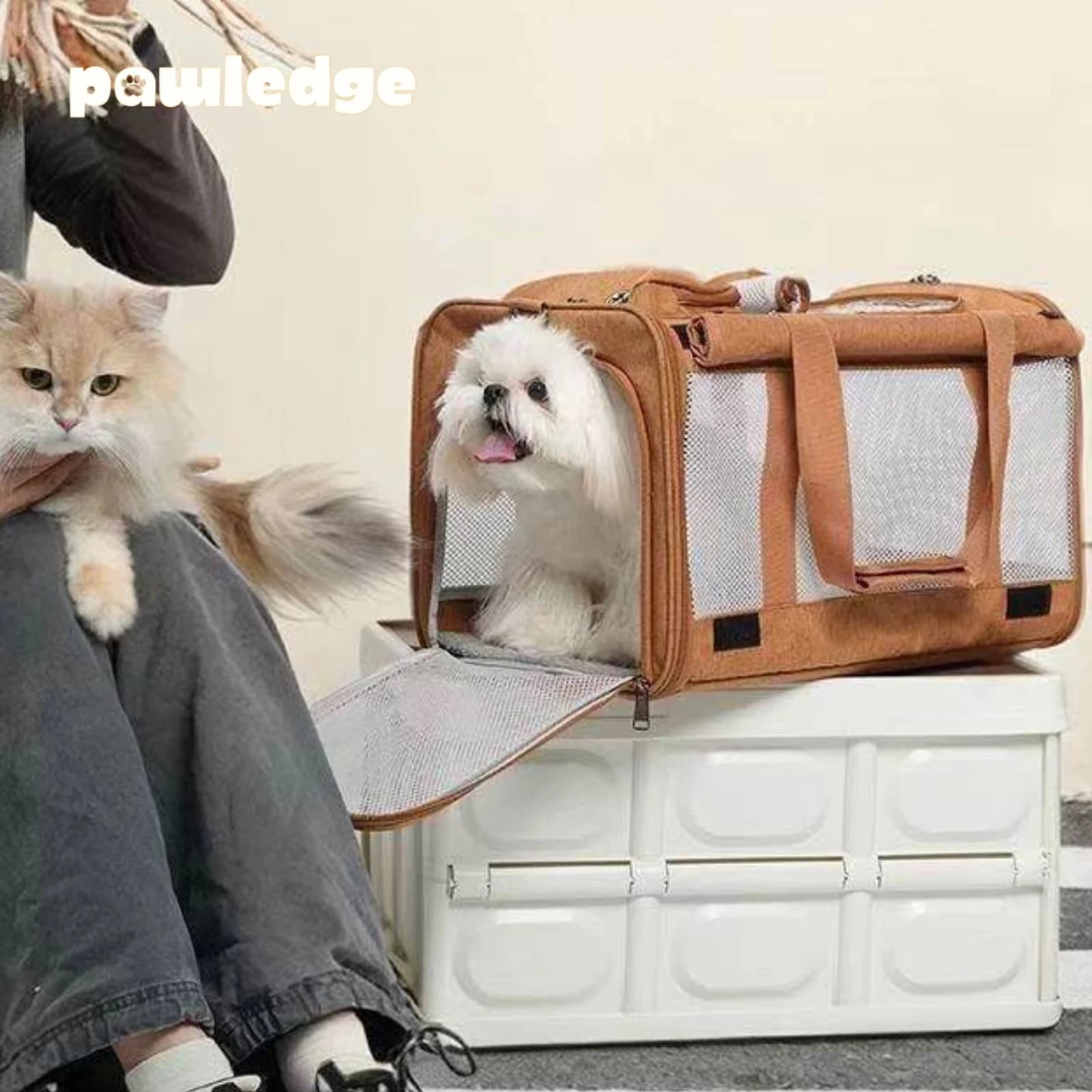 Foldable Breathable Shoulder & Handbag Pet Carrier, Car Seat Travel Crate for Small Dogs and Cats