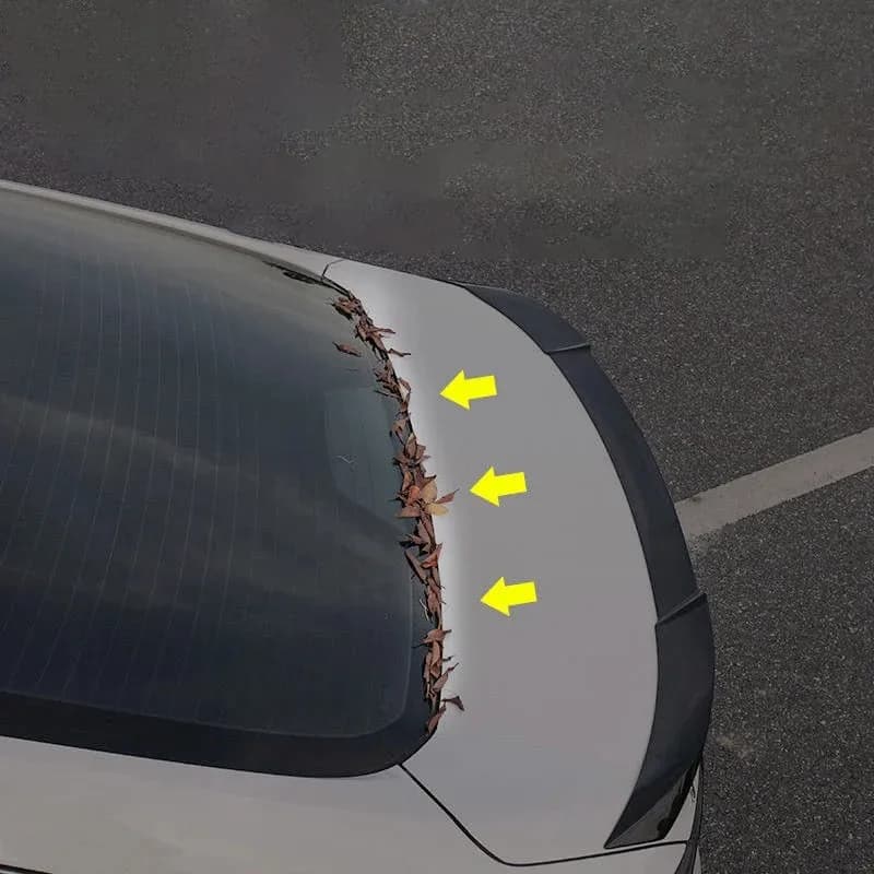 Guarnizione Impermeabile per Bagagliaio Auto, Striscia in Gomma Antipolvere, Guarnizione Universale per Prevenire Foglie, Pioggia, Neve e Polvere