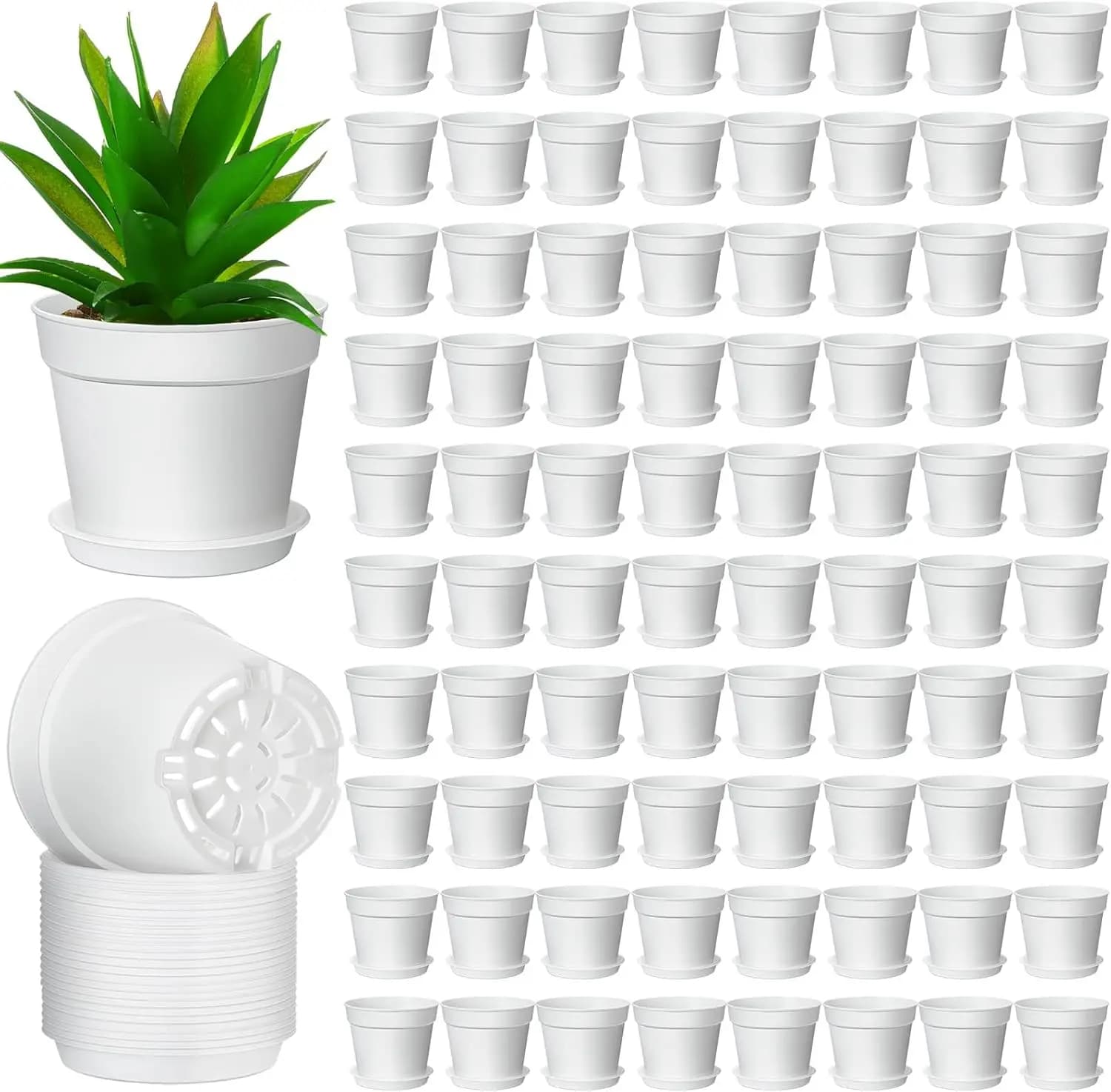 Vases for Small Plants from 4 Inches in Plastic with Draining and Subvading Holes, Plant Seed Vases, Flowers and Succulent