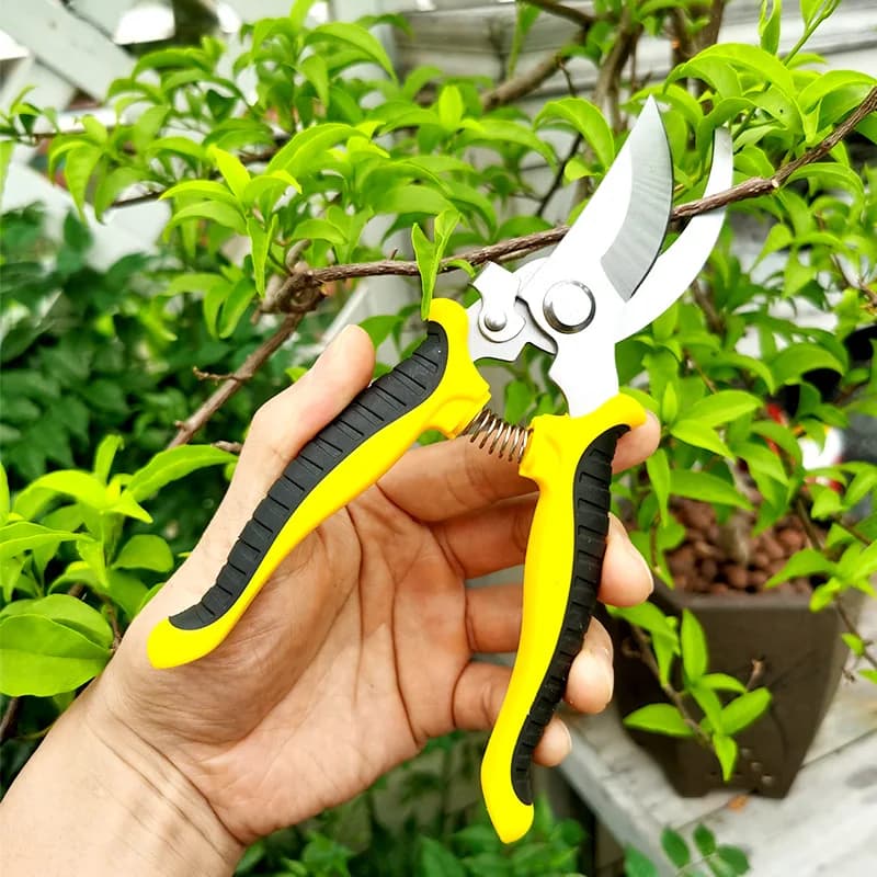 3Cr14 Multi-Functional Pruning Shears - Heavy Duty Branch Cutter for Thick Branches, Fruit Garden Horticultural Tools Anti-Slip