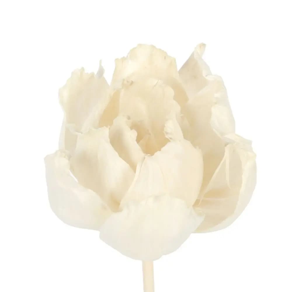Bastoncini Diffusori Multiuso per Aromaterapia, Fiori Naturali Tongcao per Soggiorno, Incenso Aromatico, Fiori Secchi