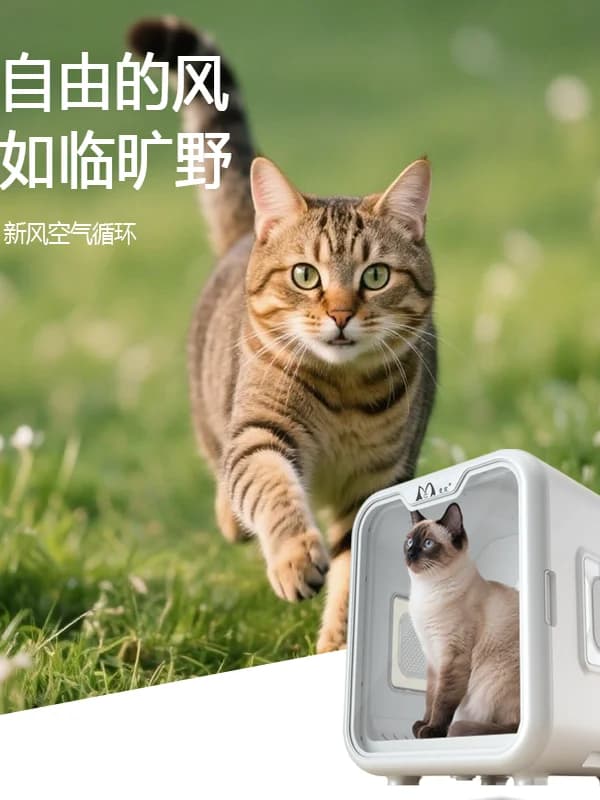 pet drying box, hairdryer for dogs and cats, silent hairdryer, aspiration for cat windows, integrated smart hair dryer
