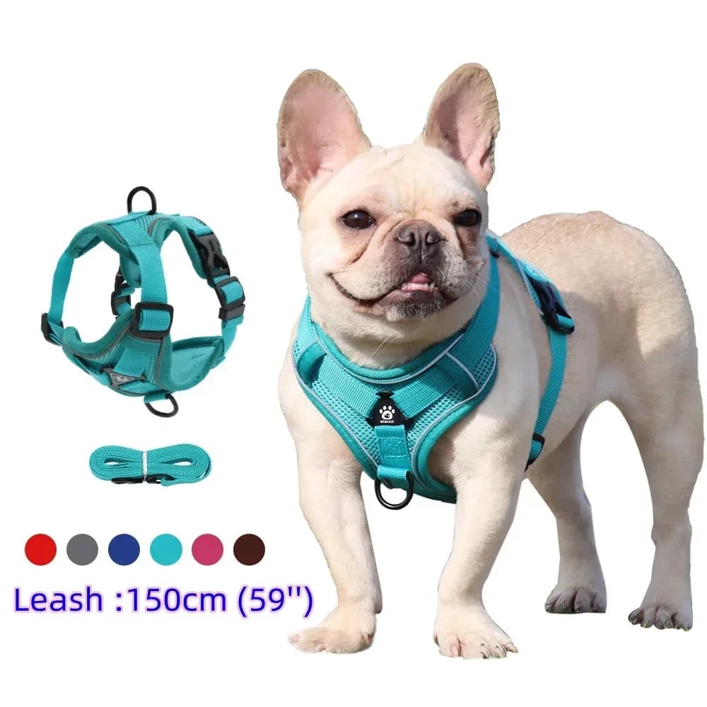 Pettorina per cani con guinzaglio da trazione da 1,5 m Set senza tirare Gilet per cani Cintura regolabile riflettente traspirante per cani Cuccioli e gatti